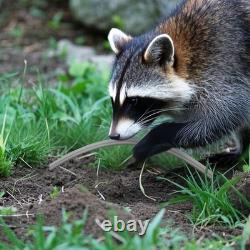 FIRMERST 14/3 UF Wire Outdoor Direct Burial Underground Feeder 25/50/100ft