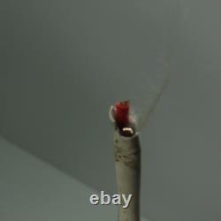 Gepco E111196 Type UL CL3 Direct Burial Audio Wire 12 AWG 2 Cond 325